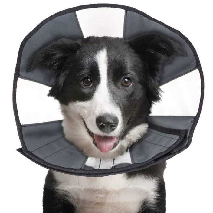 Soft Recovery Collar L627571