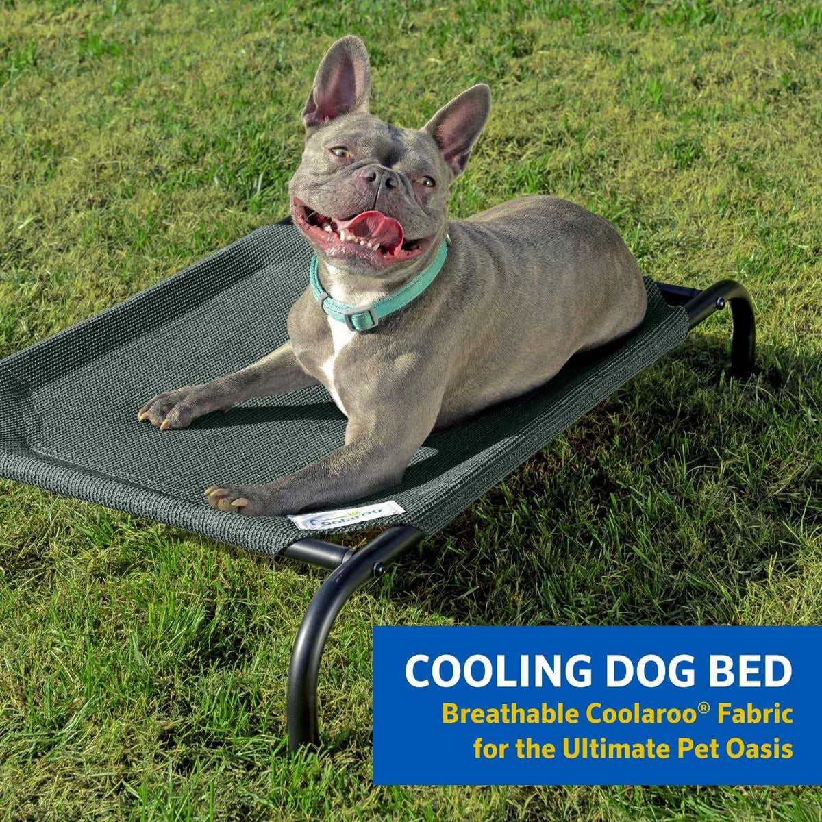 Elevated Pet Bed Q915