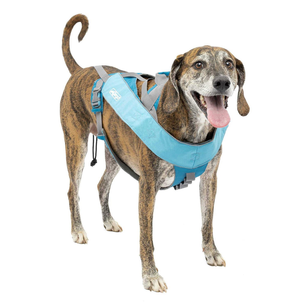 Dog Harness L62916
