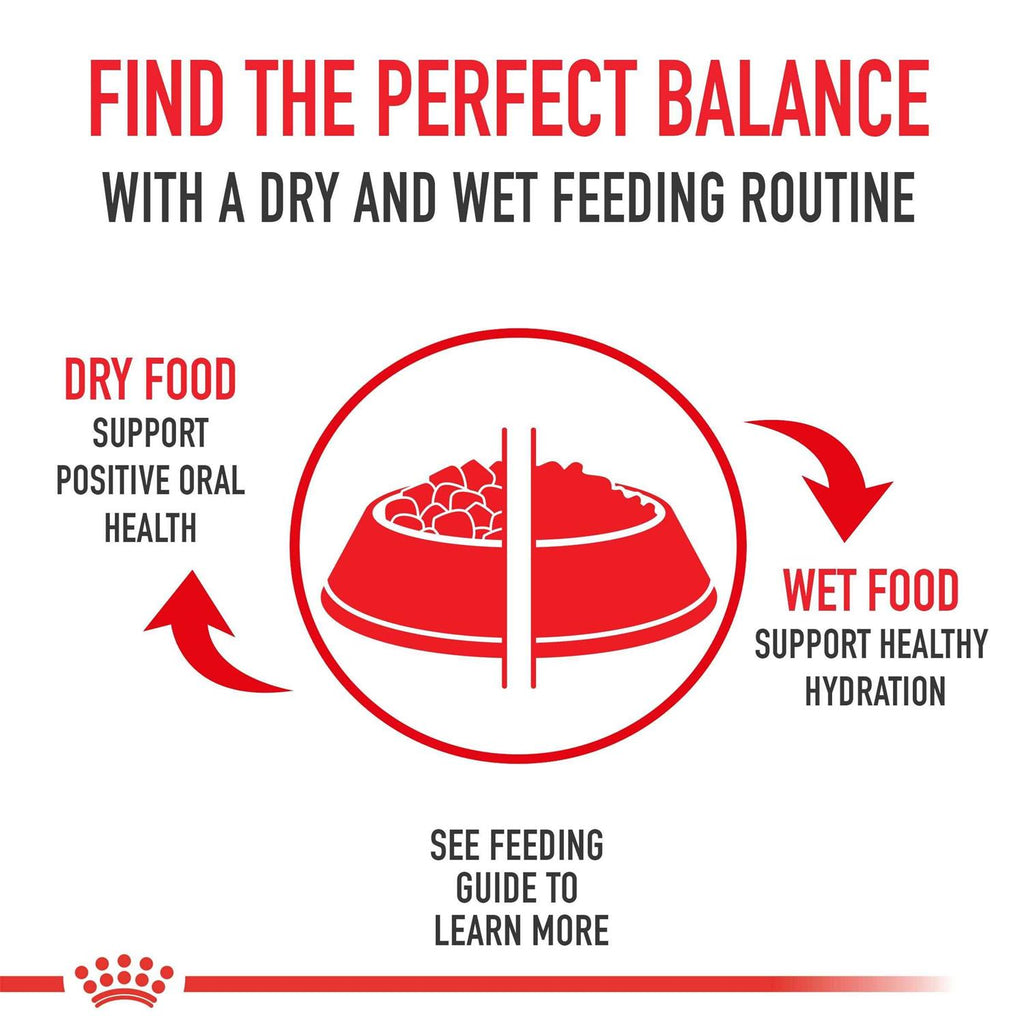 12+ Dry Dog Food P435