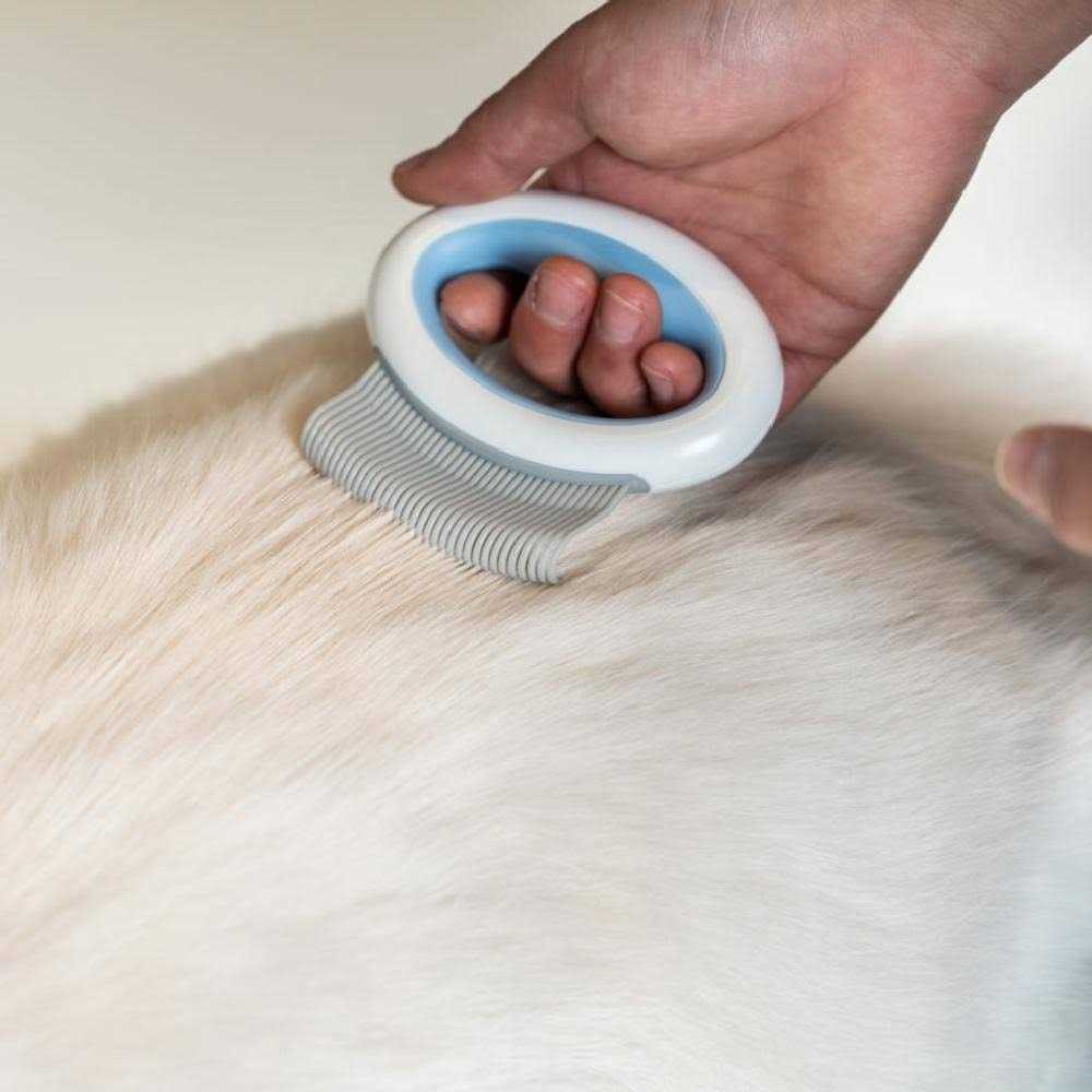 Handheld Flexible Pet Grooming Rake Comb H514