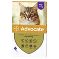 Large Cat C485486