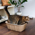 Disposable Cat Litter Box I60187