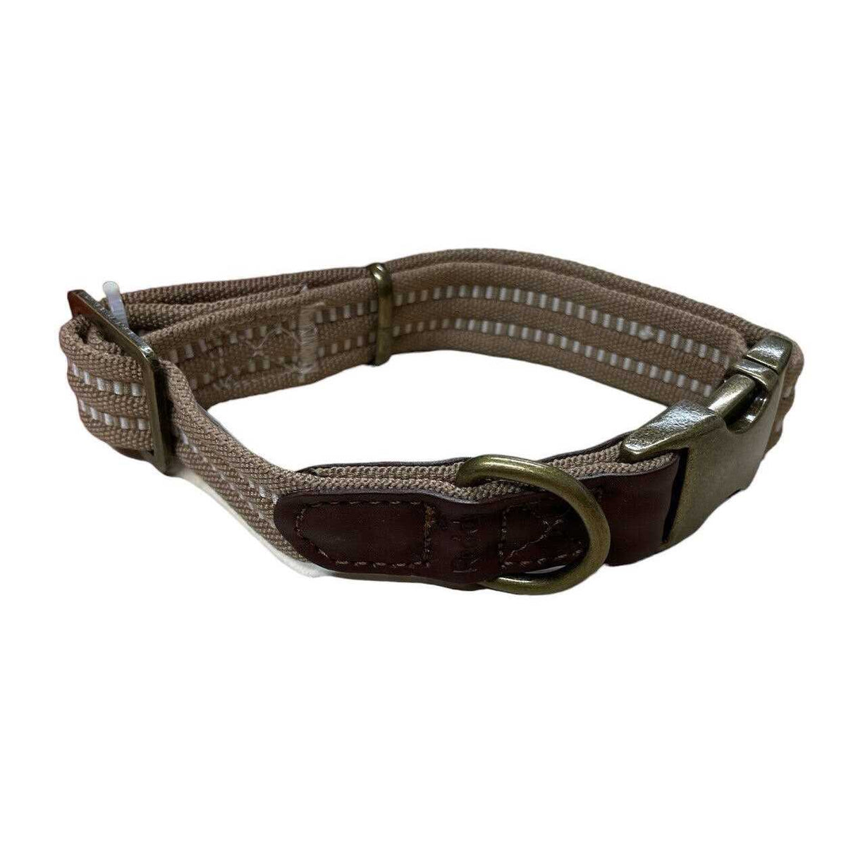 Webbed Dog Collar P349