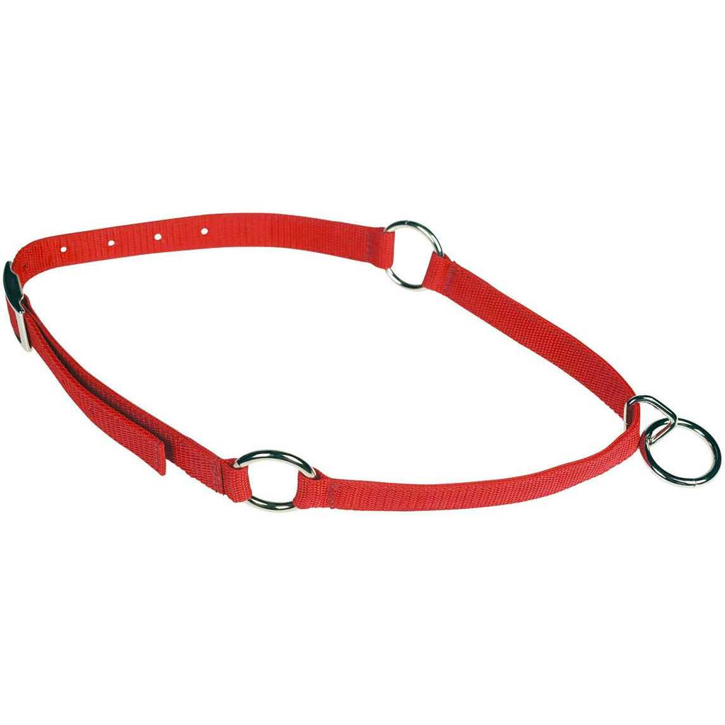 Neck Collar J641