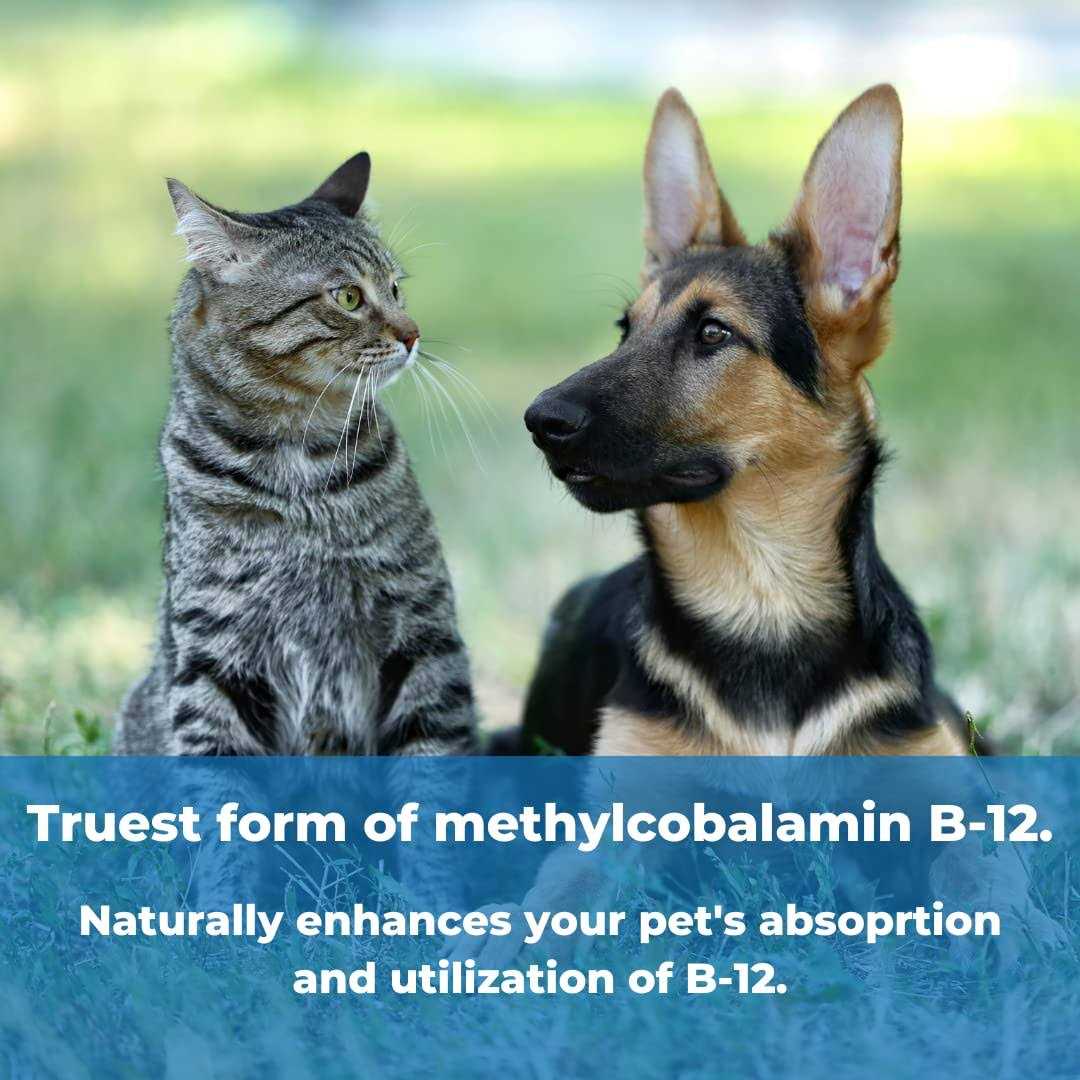 Pet Factor B-12 Y7245