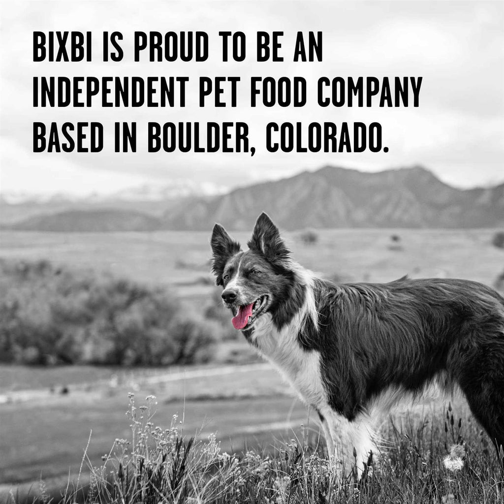 Dry Dog Food B509