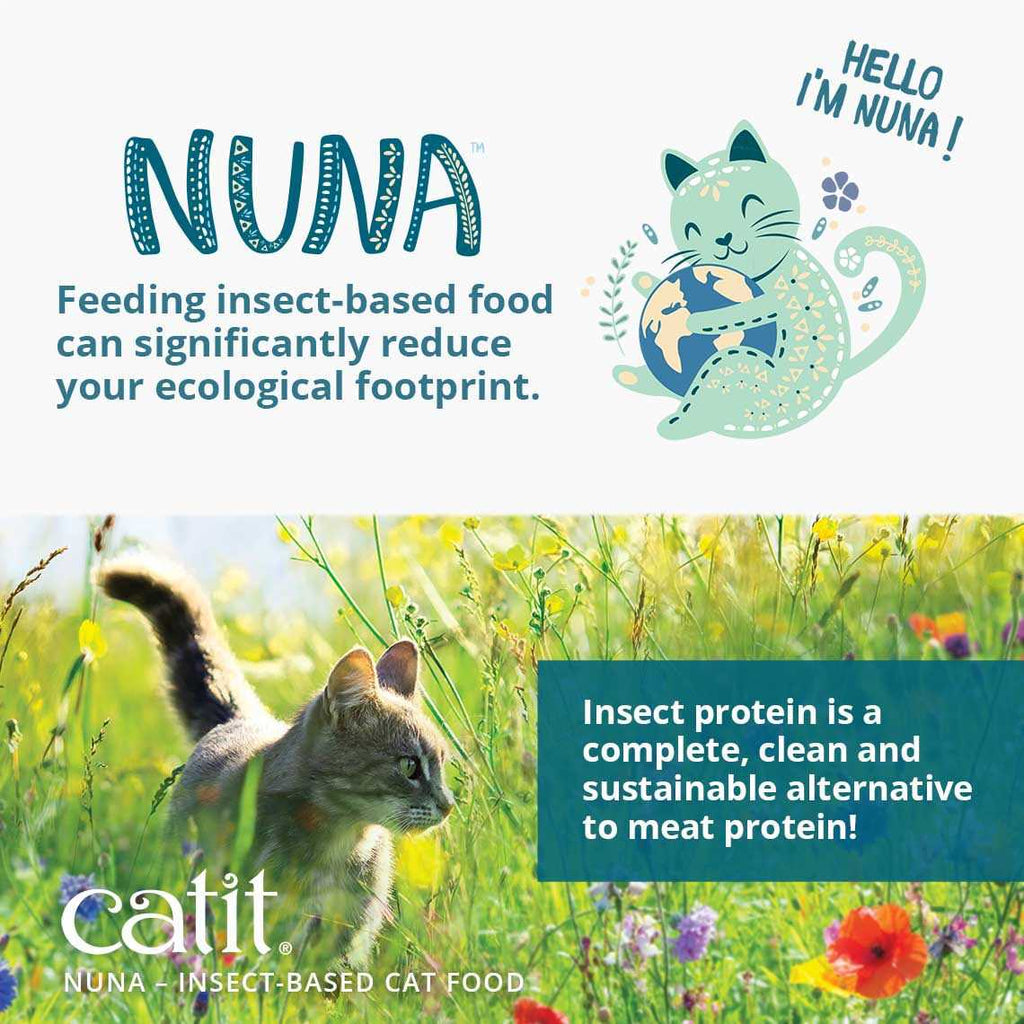 Insect Protein Recipe U401981