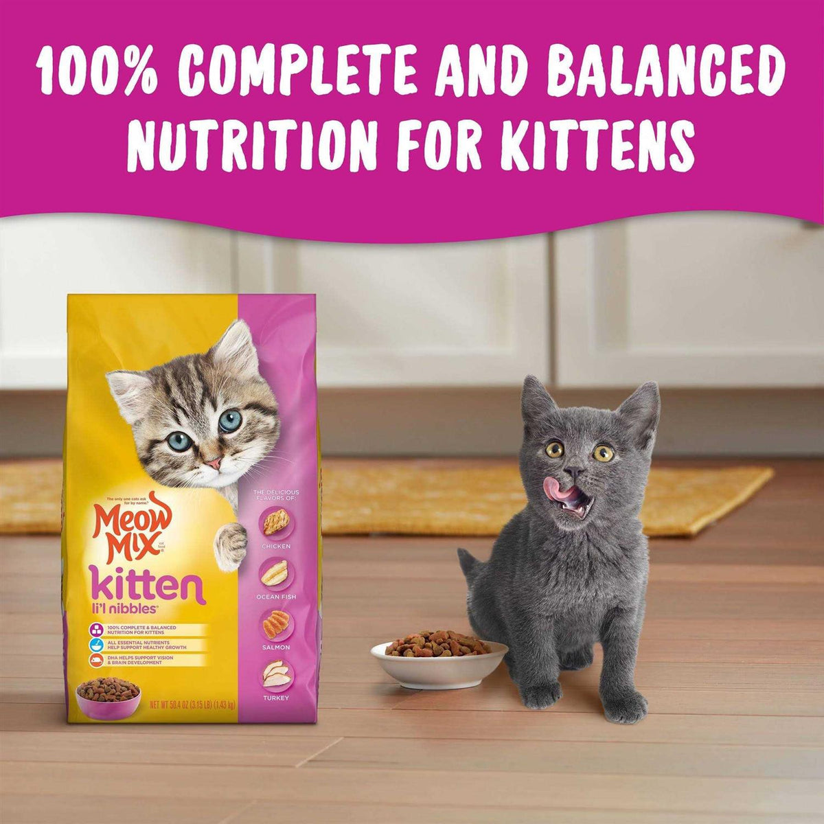 Dry Cat Food R1298