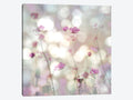 Canvas Art Picture T755