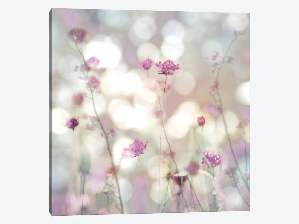 Canvas Art Picture T755