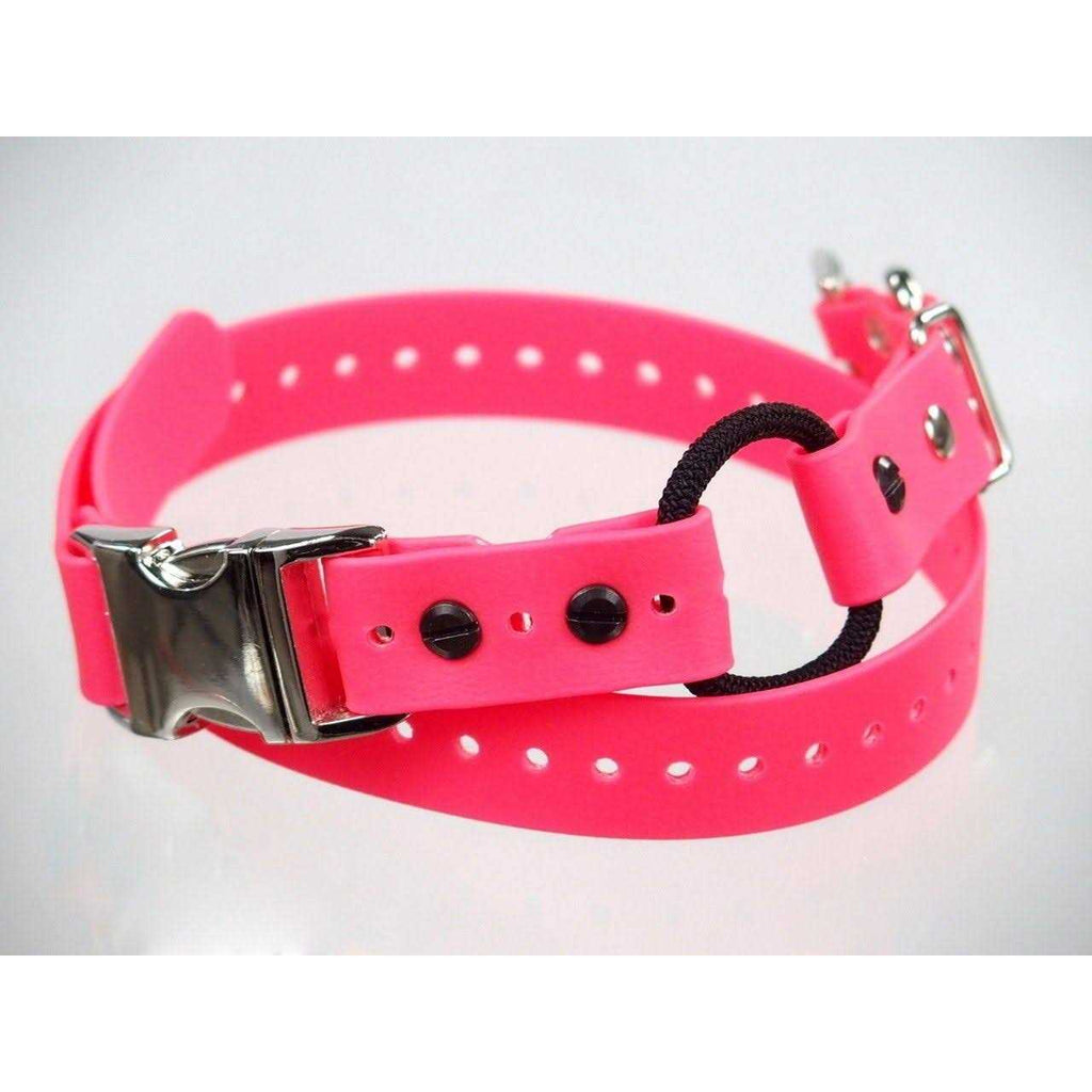 Bungee Collar I632732