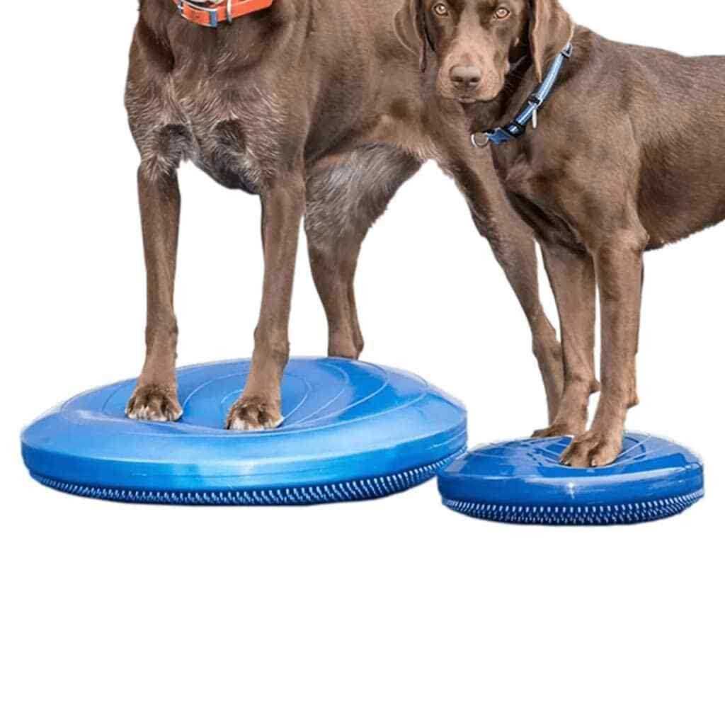 Balance Disc W721194