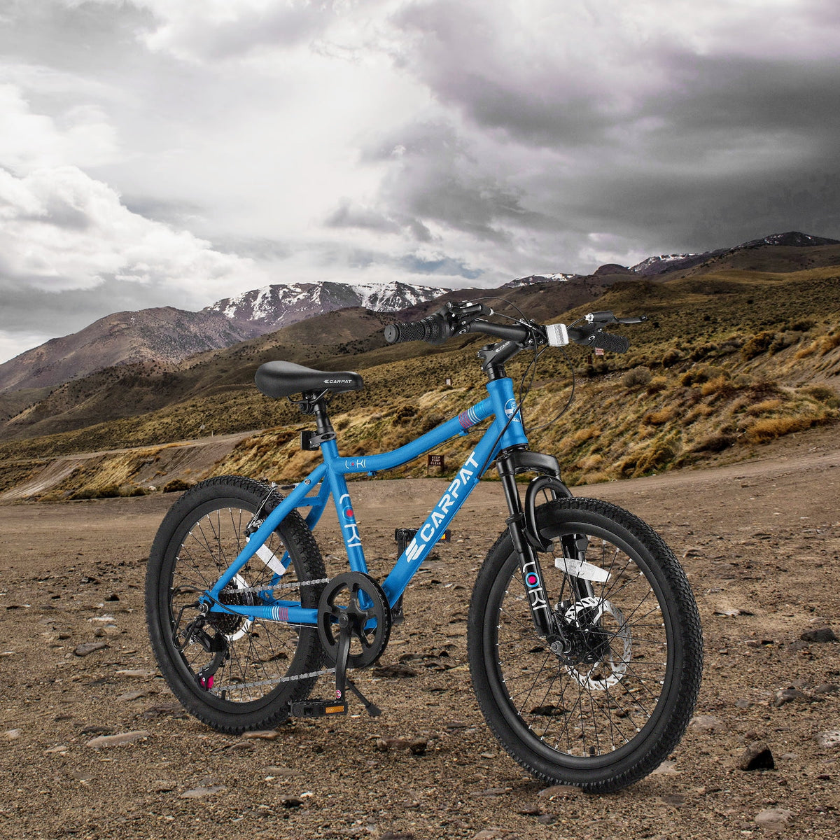 20 Inch Kids Mountain Bike X662
