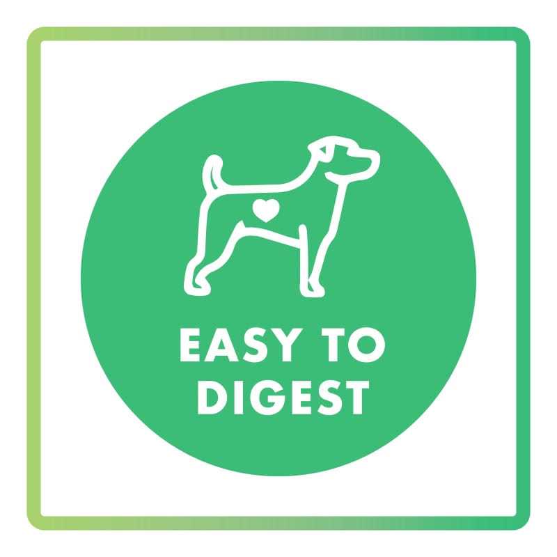 Dog Treat Assorted Flavors E6516