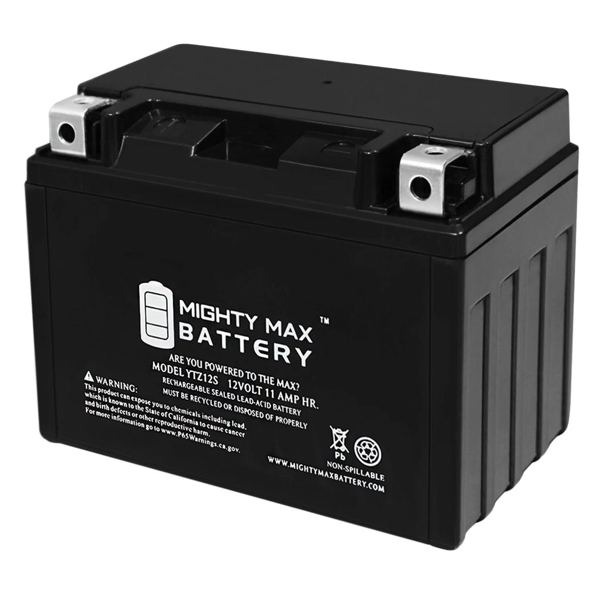 12V 11Ah Battery P665