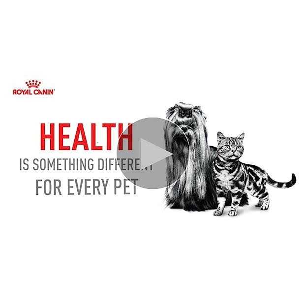 12+ Dry Dog Food P435