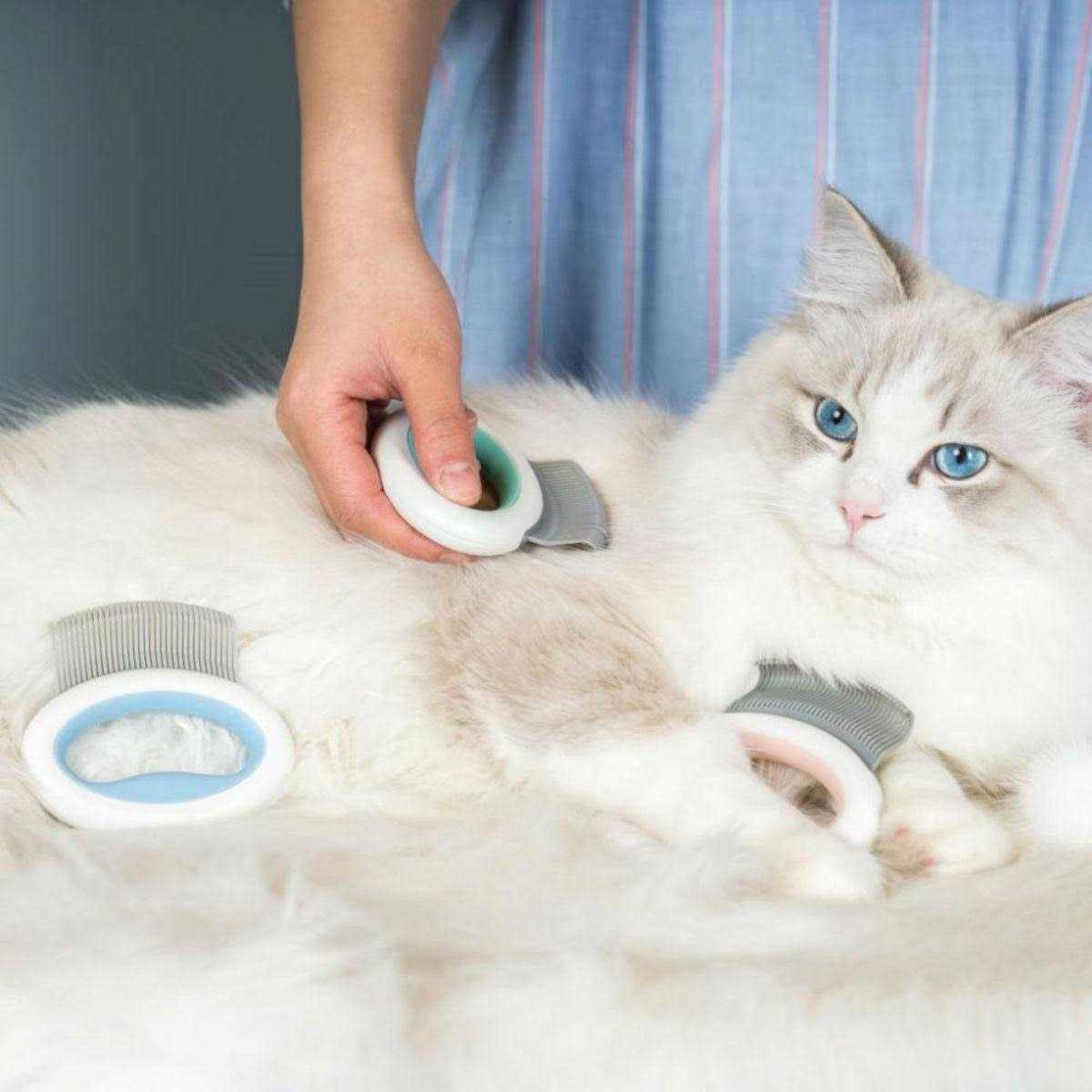 Handheld Flexible Pet Grooming Rake Comb H514