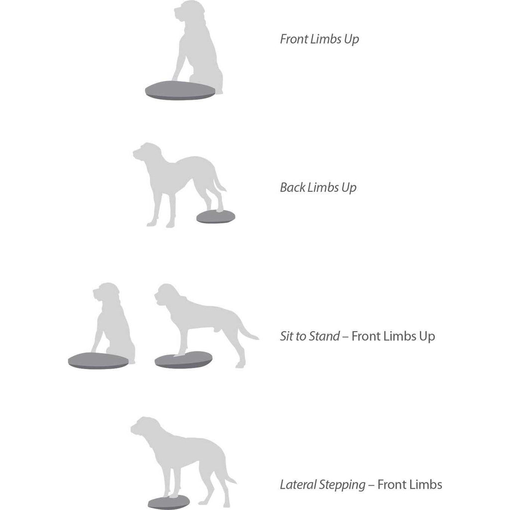 Balance Disc W721194