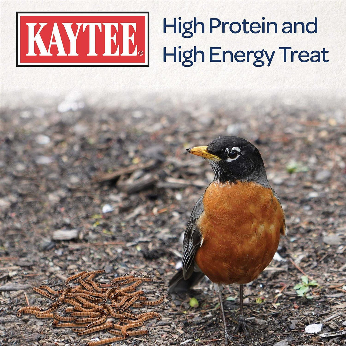 Mealworms Bird Food W489245