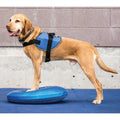 Balance Disc W721194