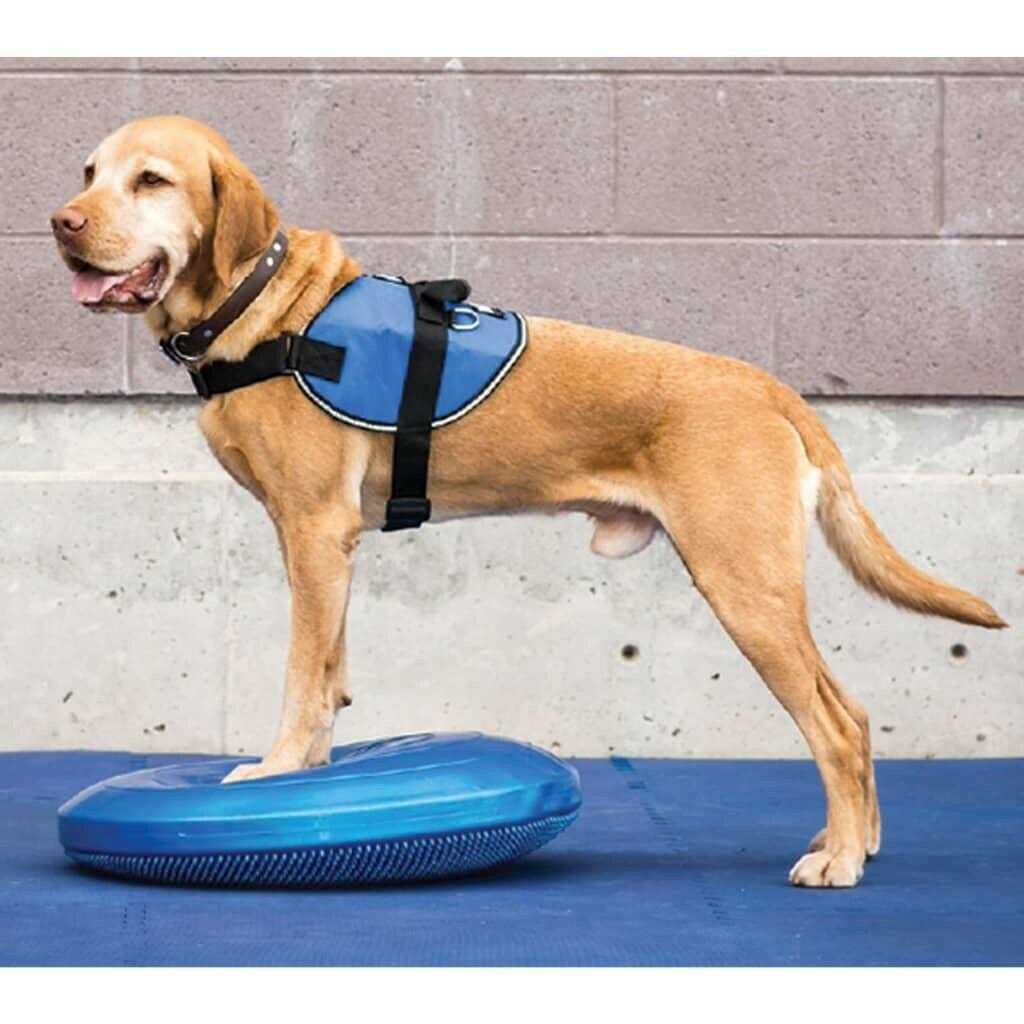 Balance Disc W721194