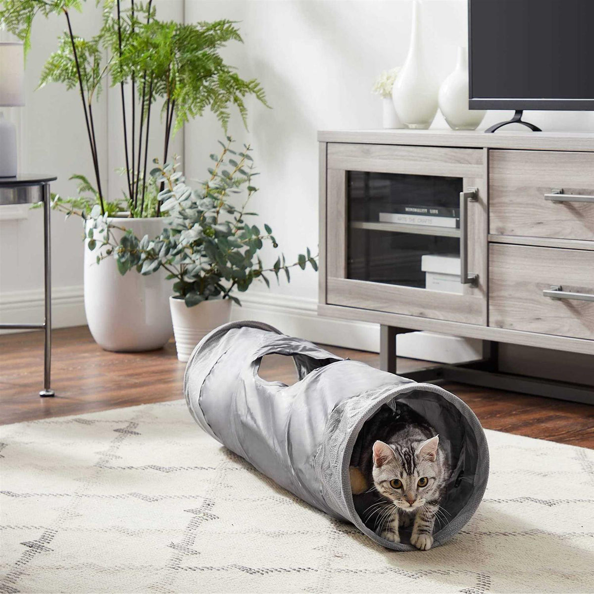 Cat Tunnel C5258