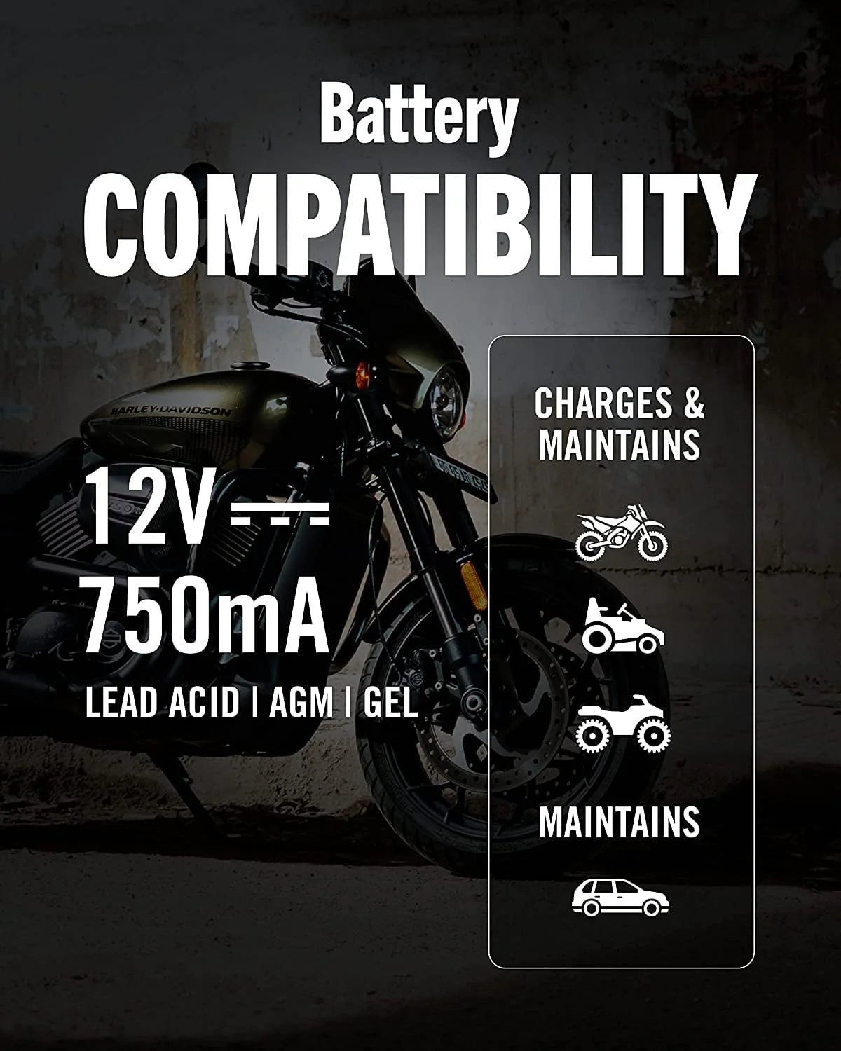 12V 750mA Automatic Battery Charger and Maintainer Q7796