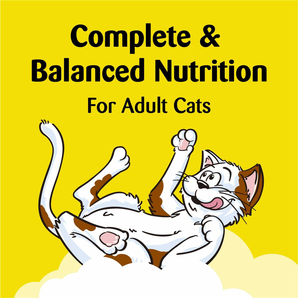 Cat Treats E634291