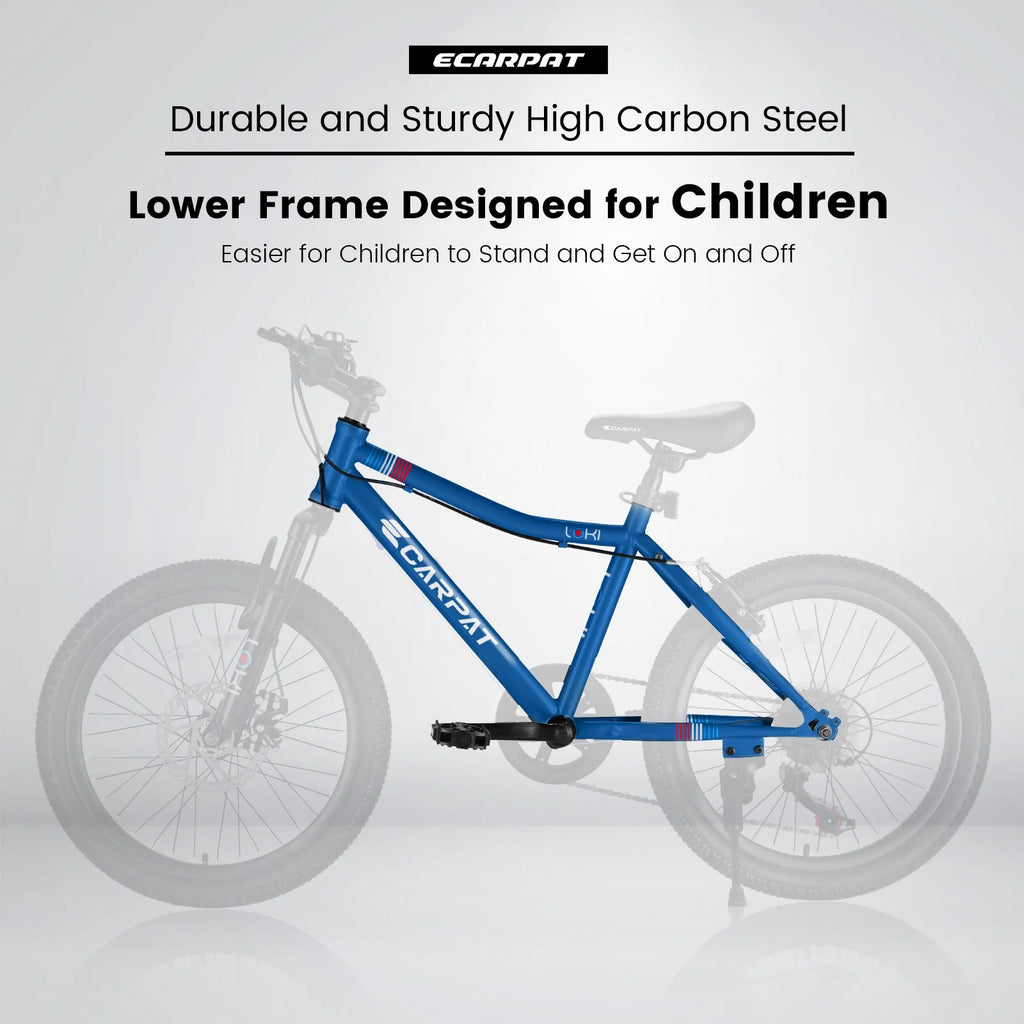 20 Inch Kids Mountain Bike X662