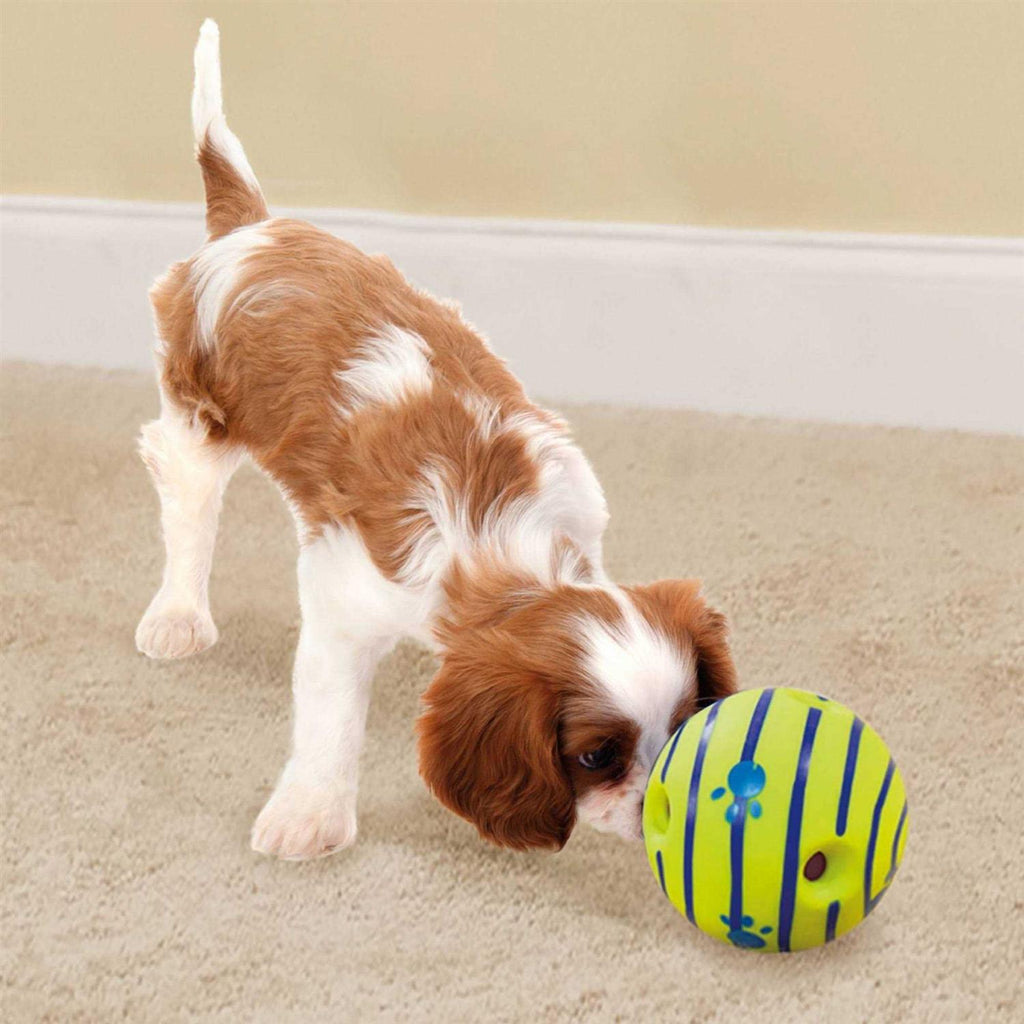 Dog Toy V165422