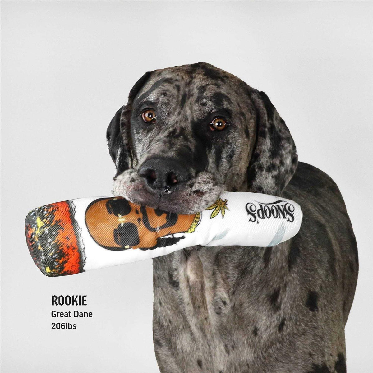Dog Toy K3989