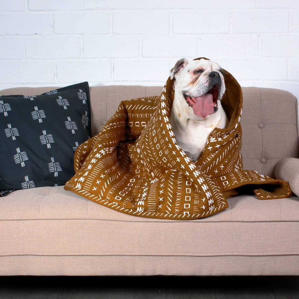 Blanket Y611