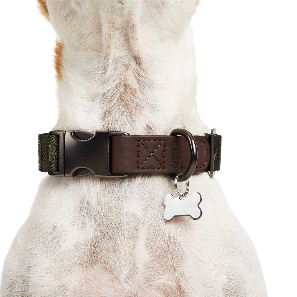 Dog Collar B55651