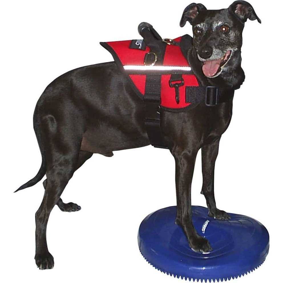 Balance Disc W721194