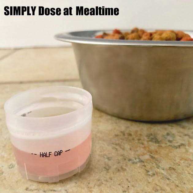 Cat Dental Formula D974