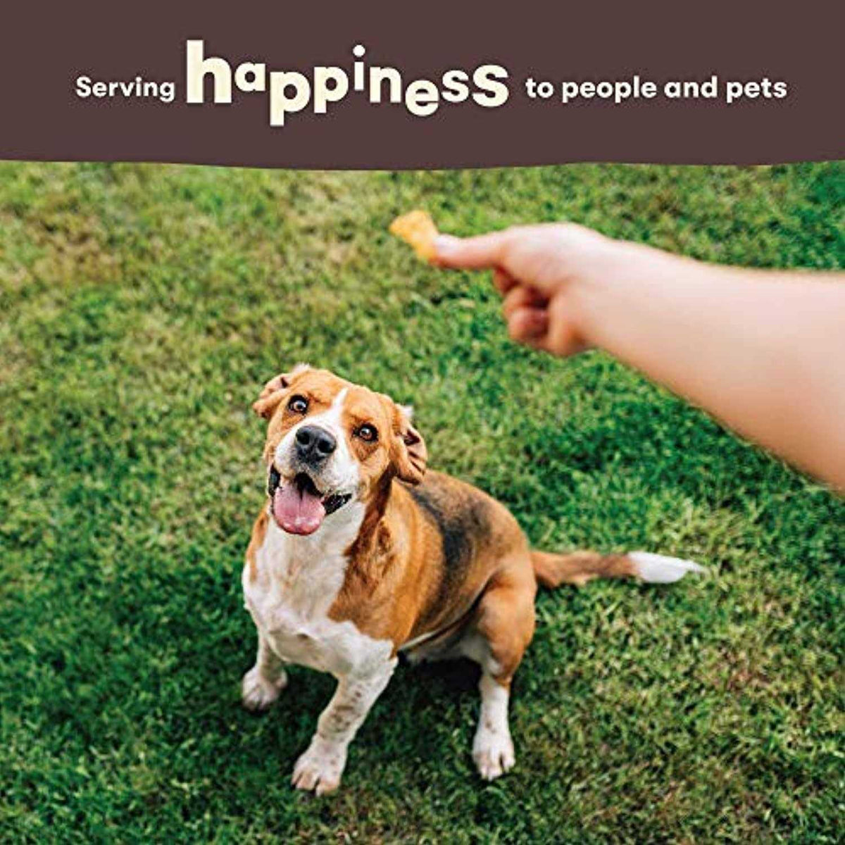 Chicken Hide Twists Dog Treats U6744