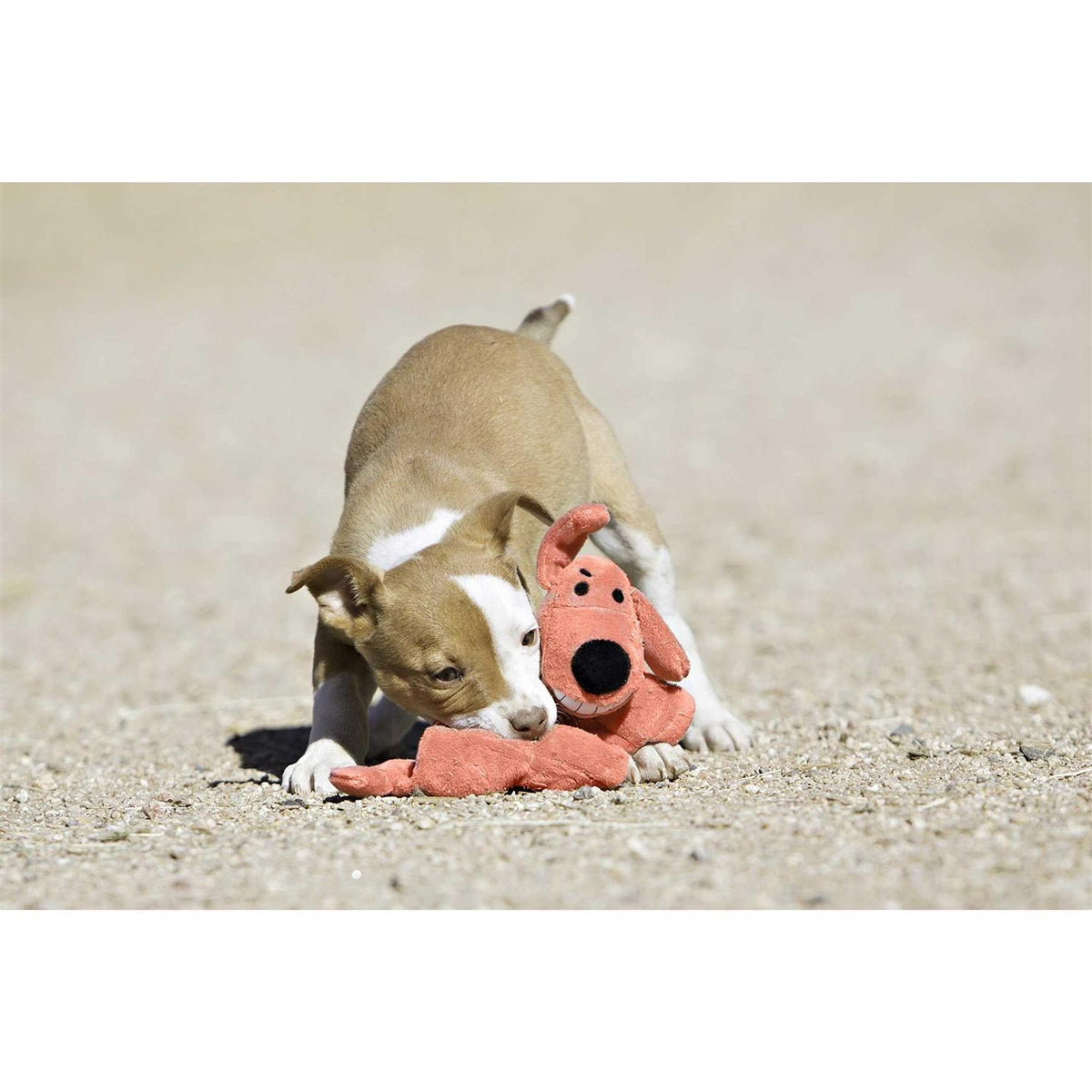 Squeaker Mat Dog Toy Y298