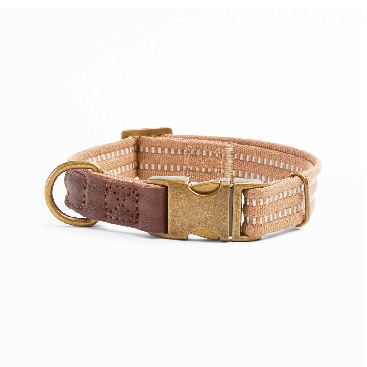Webbed Dog Collar P349
