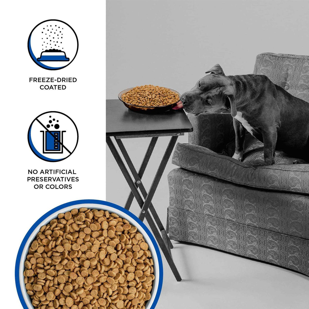 Dry Dog Food B509