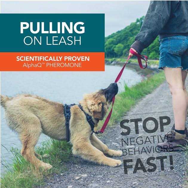 Dog Correction Spray A7837