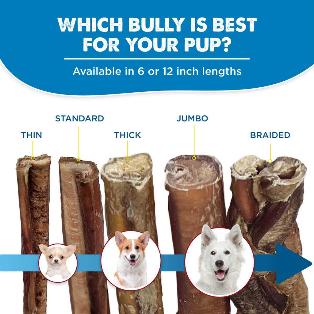 All-Natural Bully Sticks for Dogs N440034
