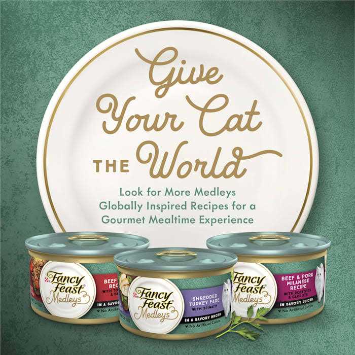 High Protein Wet Cat Food T633