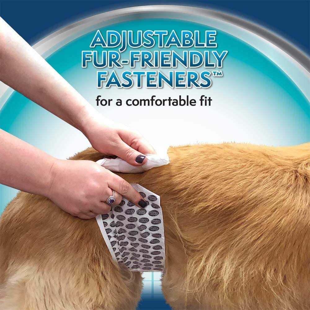 Disposable Male Wraps K969
