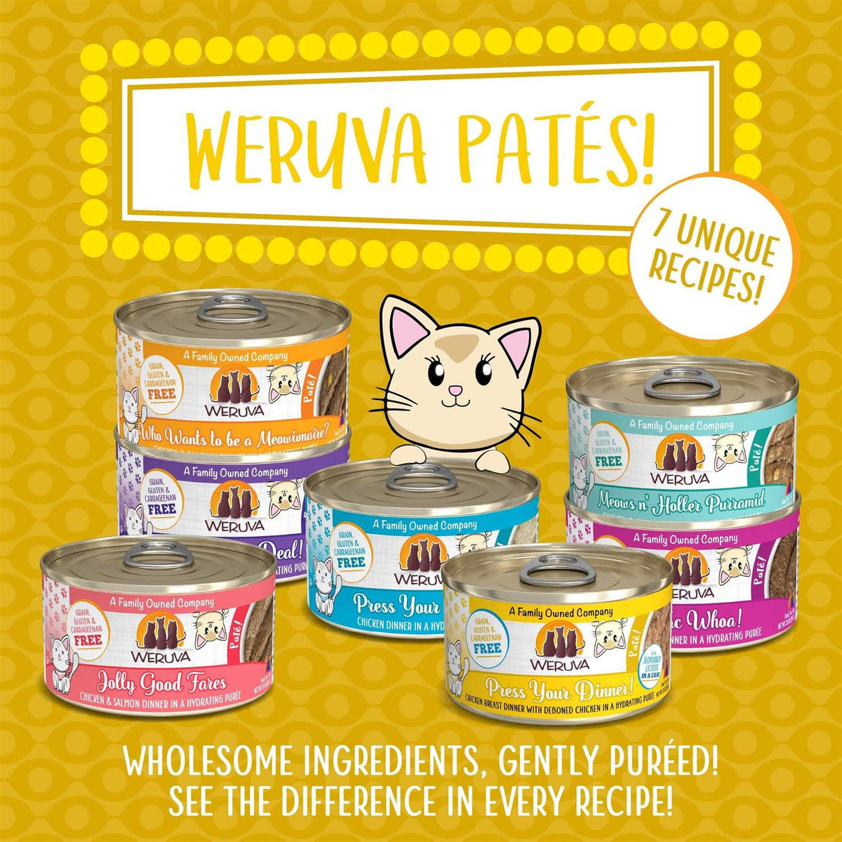 Chicken Pate Wet Cat Food E54908