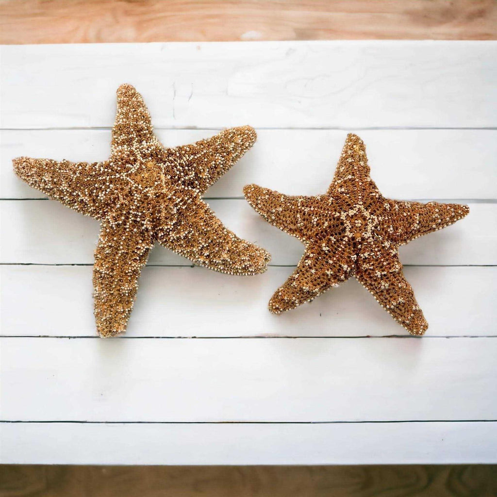 Starfish Decor V807