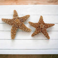 Starfish Decor V807