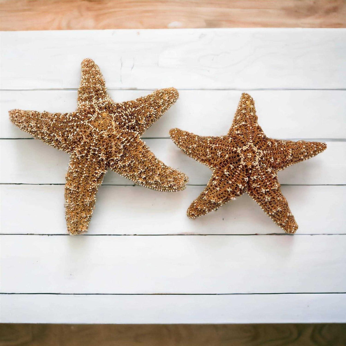 Starfish Decor V807