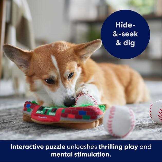 Plush Squeaky Dog Toy G52781