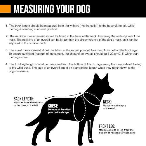 Padded Dog Y Harness P545747